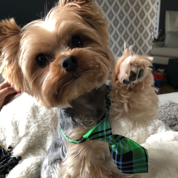 Meet your Posher, La - Picture 1 of 1